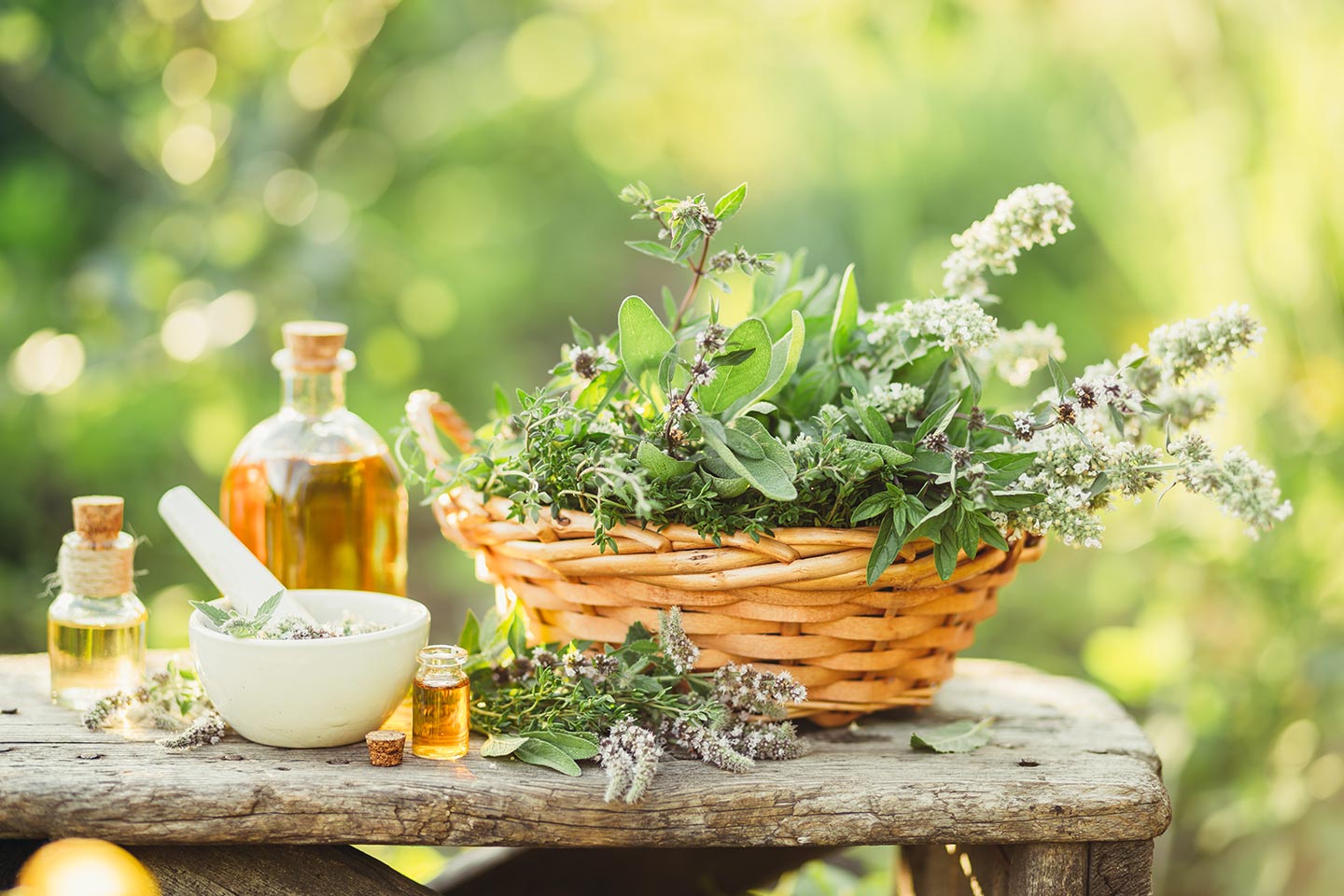 Plantas Medicinales
