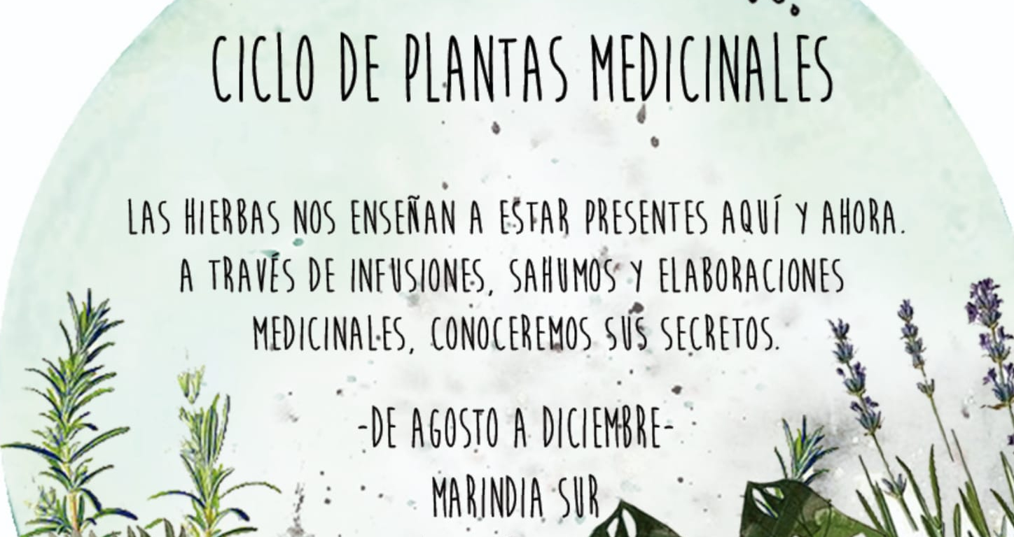 Ciclo de Plantas Medicinales (Online)