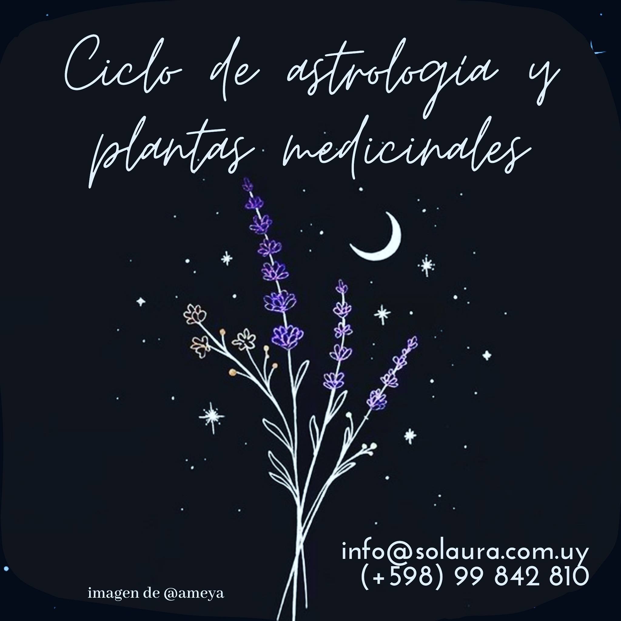 Ciclo de Plantas Medicinales y astros