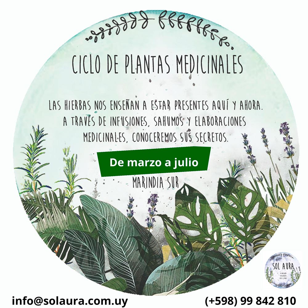 Ciclo de plantas medicinales nativas