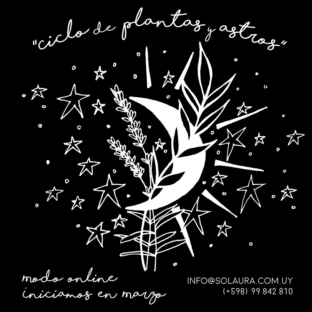 ☆Ciclo de Plantas Medicinales y astros☆