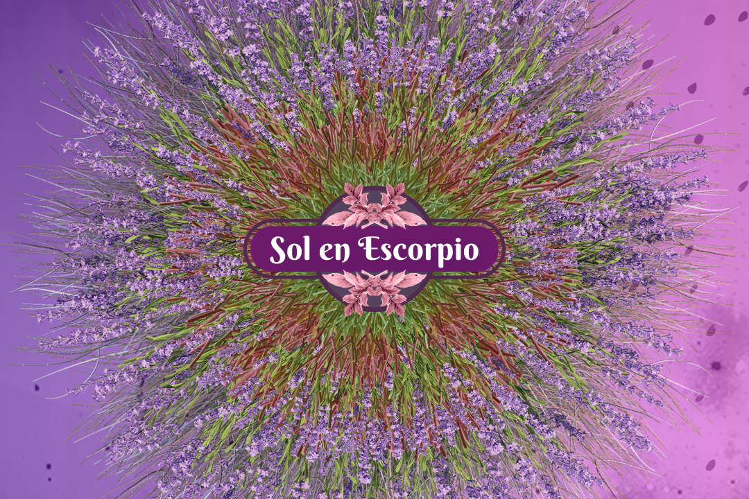 sol en escorpio