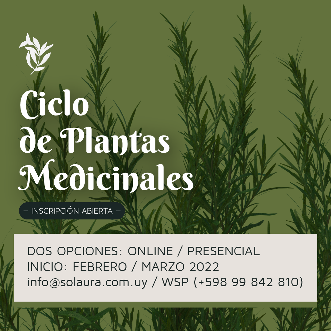 Ciclo de Plantas Medicinales