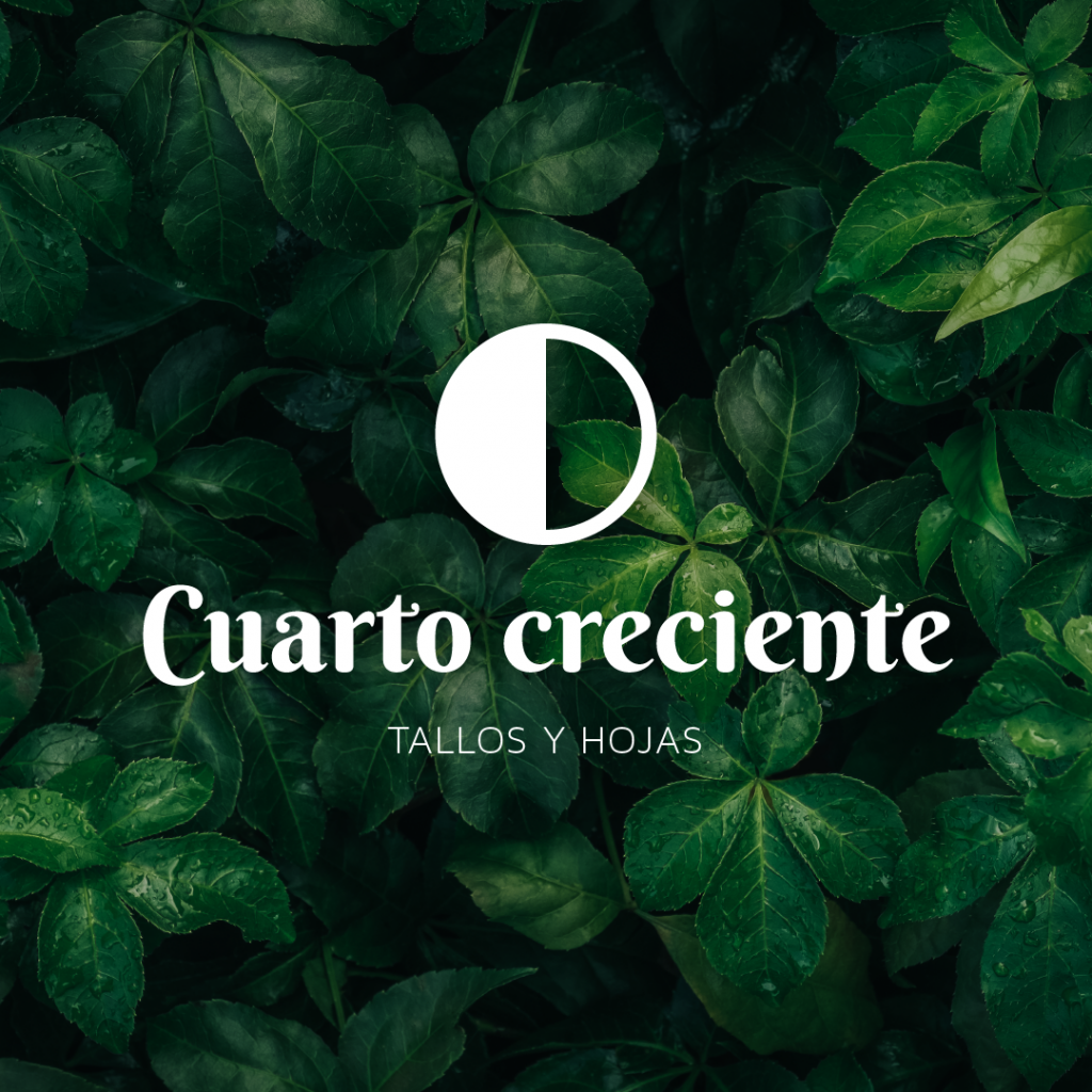 luna creciente