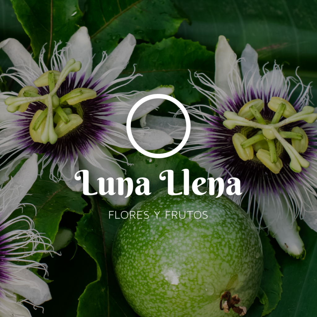 luna llena