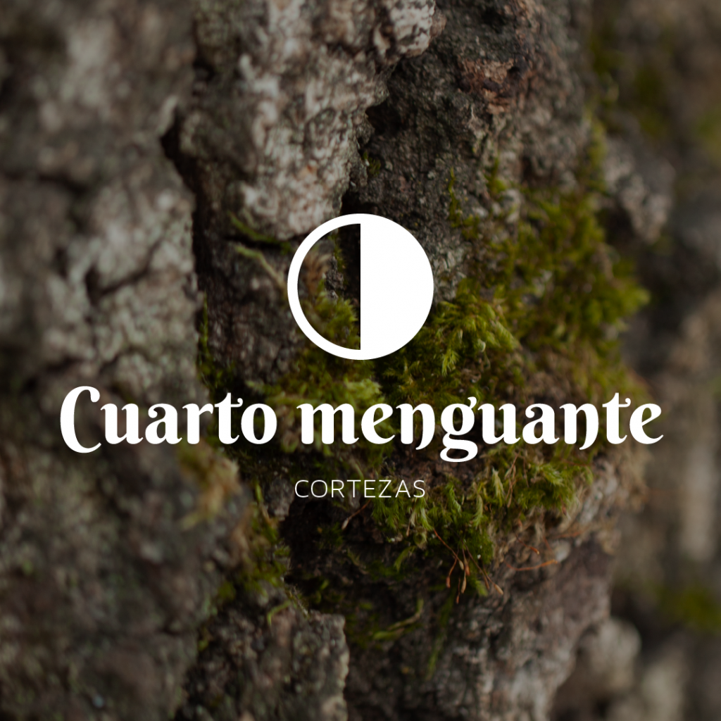 luna menguante