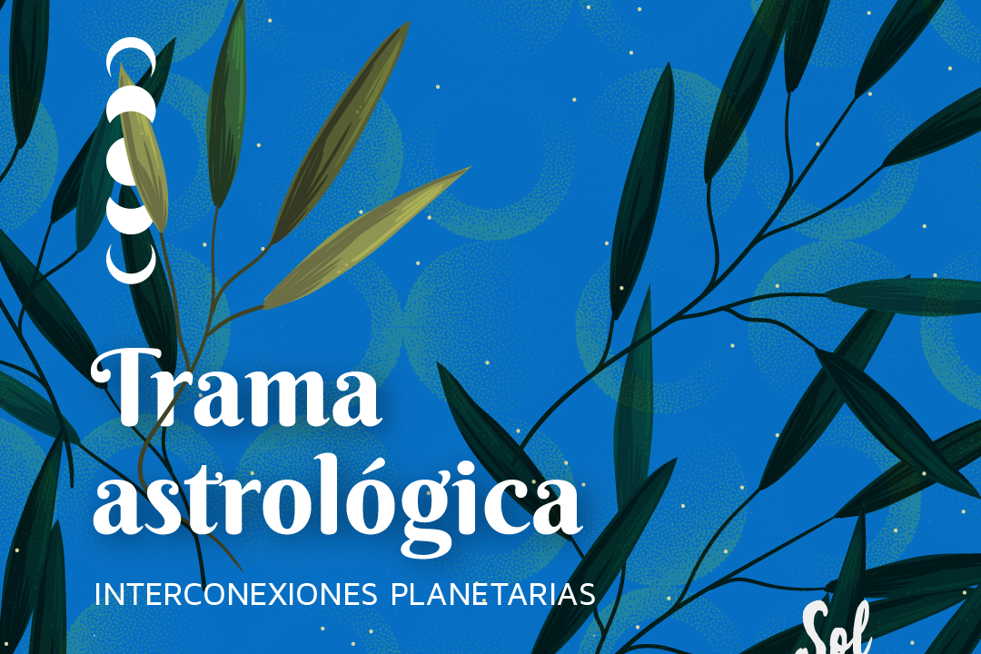 Especial año nuevo